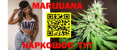 крисы Ставрополь