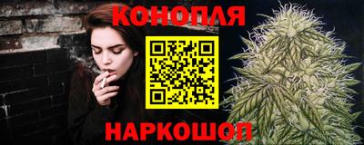 крисы Ставрополь