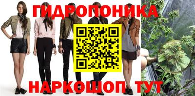 крисы Ставрополь