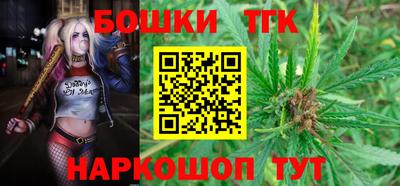 крисы Ставрополь
